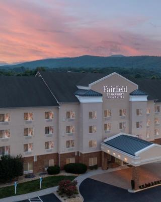 Fairfield Inn & Suites Roanoke Hollins/I-81