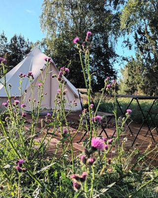 Glamping Kiveinen