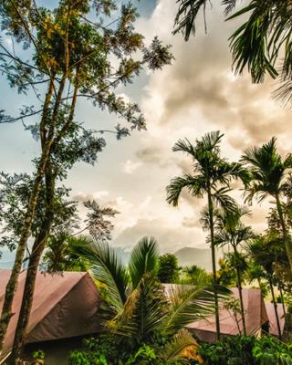 Grassroots Wayanad, Valley-view Tents