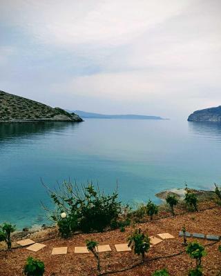 Tholos Alexandra's Beachfront House