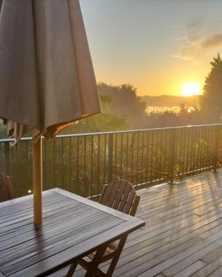 Wildferns Lodge and Sailors Studio Opua