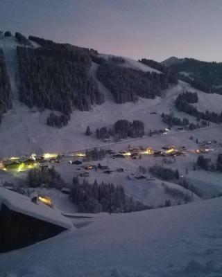 Demi Chalet Le LACHAT