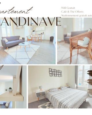 T2 neuf Le SCANDINAVE