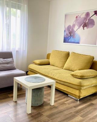 Apartman Zaharija Sokobanja