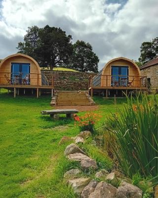Coombs glamping pods