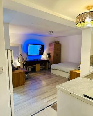 Stylish Studio flat - Watford Junction - Harry potter