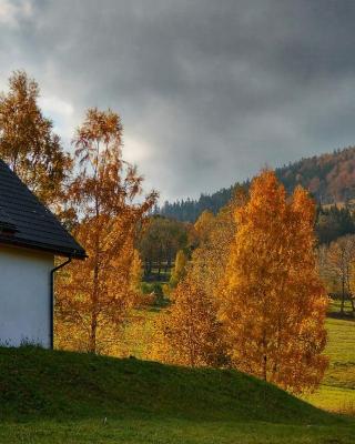 Rezydencja Ostoja