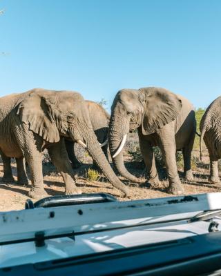 Omaruru Game Lodge