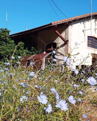 Albergue & Cafetería Vía de la Plata Hervás