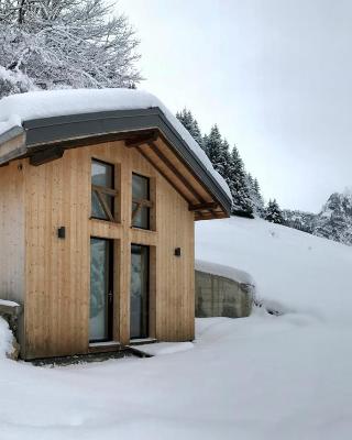 Chalet*** au pied d'une prairie face à la montagne