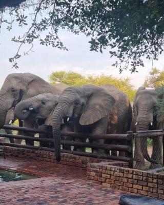 Bateleur Lodge, Mabalingwe