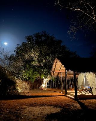 Ranakeliya Lodge - Yala