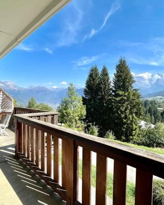 Cosy Chalet with Terrace