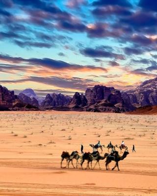 Wadi Rum Nature Camp & tour