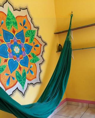 Hostel na floresta com saída ao igarapé - Medicina, Consciência e espiritualidade -Espaço Caminho das pedras