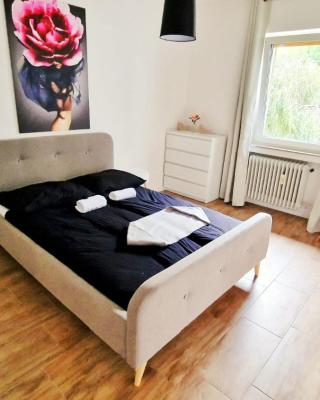 Appartement 4 Personen - Zimmer in Wohnung, zentral, ruhig, modern