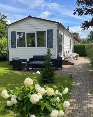 Rustig chalet 4 personen op recreatiepark de Friese Wadden Tzummarum buitenzwembad aanwezig op het park