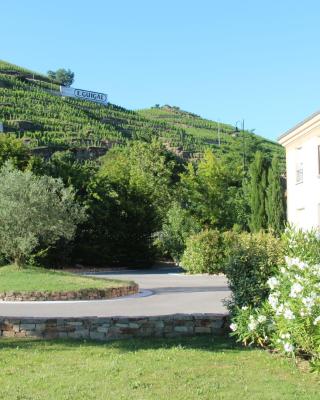 Hôtel Le Domaine des Vignes Ampuis Lyon Sud Vienne