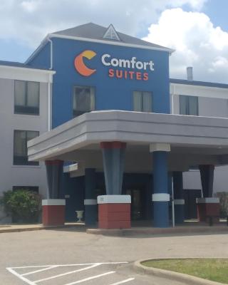 Comfort Suites Airport South