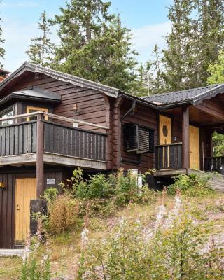 Chalet Korpstigen Renen - DAN074 by Interhome