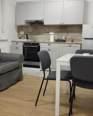 Lovely flat, city center with free parking