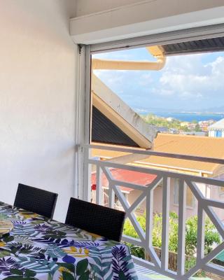 Ti Caraïbes, appartement T3 atypique, vue mer, piscine et proche plage