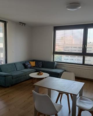 CityPark Apartment