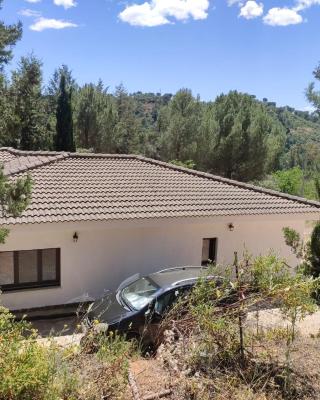 Bonita casa blanca en el bosque.