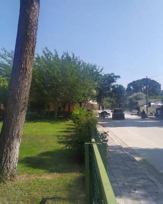 Vila 7 Divjake