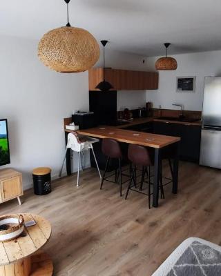 Appartement rénové totalement - Vue sur jardin - 52 m²