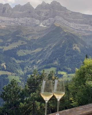 Chalet le Grenier des Crosets, Vue exceptionnelle sur les Dents du Midi