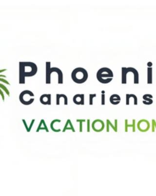 Phoenix Canariensis