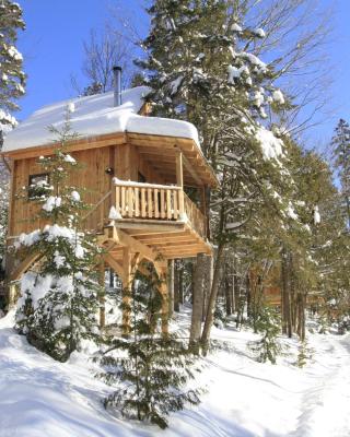 Les Cabanes du Trappeur