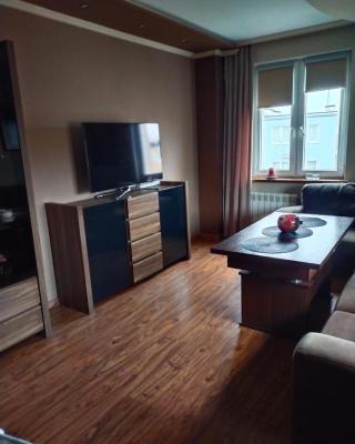 Apartament w centrum