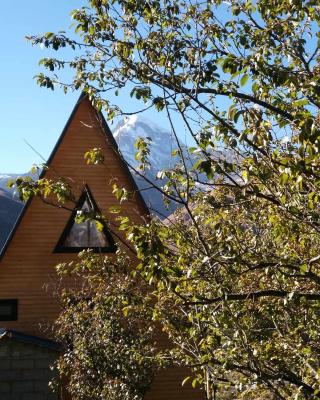 Emotion Kazbegi