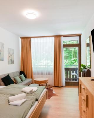 Ferienwohnung in Bad Goisern