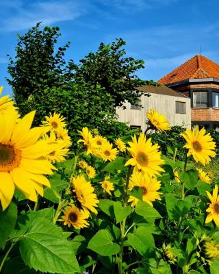 Vakantiehuis Louiselotte