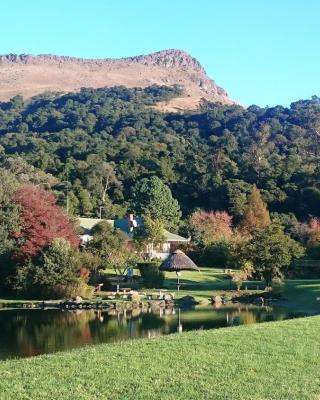 Mount Park Guest Farm