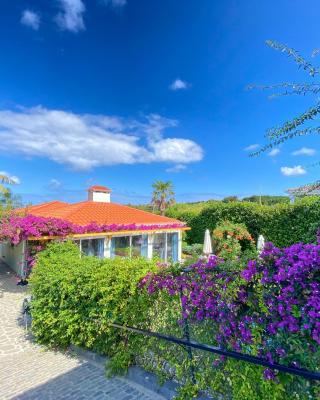 Terra Vivaz - Ribeira Cottage