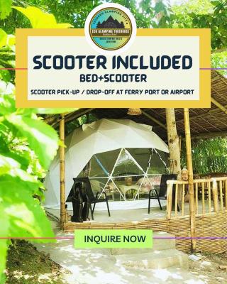 Eco Glamping Treehouses Closest Resort To All Tourist Attractions