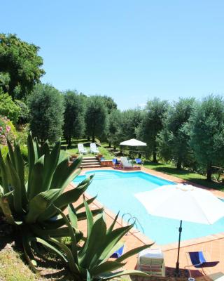 Agriturismo Podere Luchiano