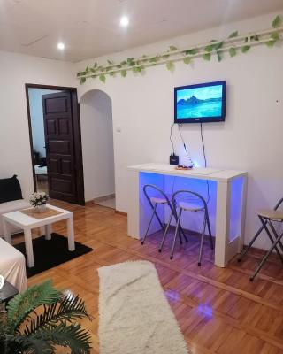 Apartment Obilicev Venac 6