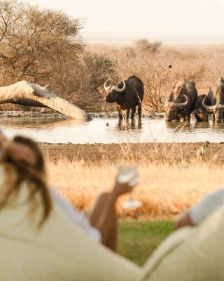 Last Word Madikwe