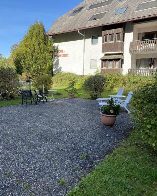 Schwarzwaldblick