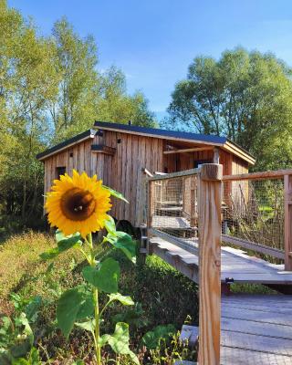 La Cabane d'Ode