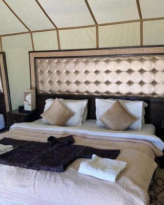 Luxury Sahara Camp