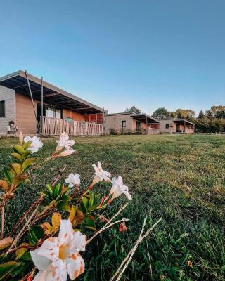 Auvergne chalets Sancy