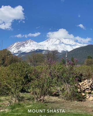 Angel cottage with a sauna or The Cozy with a jacuzzi tub, both are studios with a view of Mount Shasta