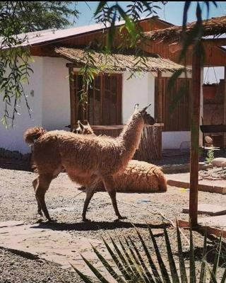 Cabañas Voyage Atacama