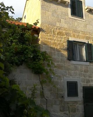 Fishing Family House